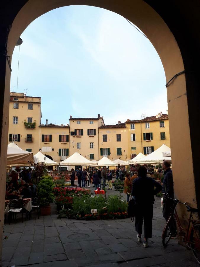 La Dimora Nell'Anfiteatro Hotel Lucca Ngoại thất bức ảnh
